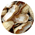 Peanut Shell